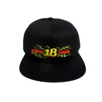 ANTIHERO SNAPBACK CAP