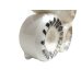 画像2: DOGTOWN K9 WHEEL (2)