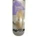 画像2: QUASI DECK  (2)