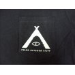 画像2: POLER CAMPING STAFF POCKET T-SHIRTS (2)