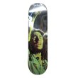 画像1: PRIMITIVE x BOB MARLEY DECK (1)