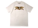 画像: ANTIHERO T-SHIRTS