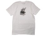 画像: ANTIHERO T-SHIRTS