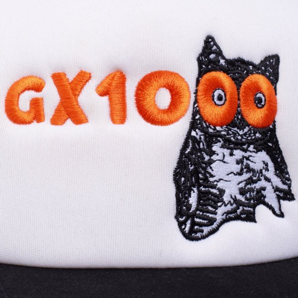 画像2: GX1000 OWL MESH CAP (2)