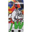 画像2: QUASI DECK (2)